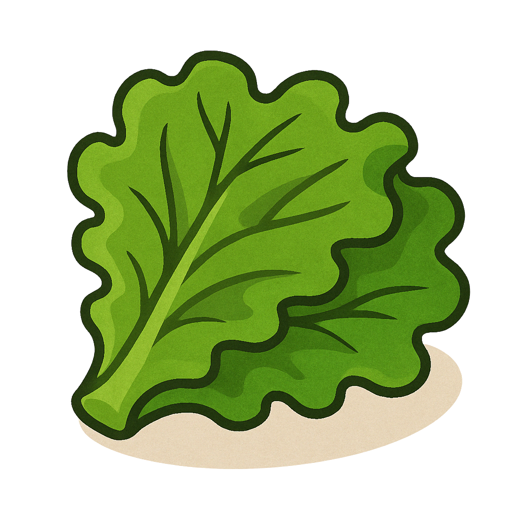 Lettuce